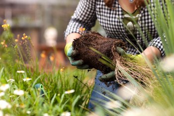 lady gardening