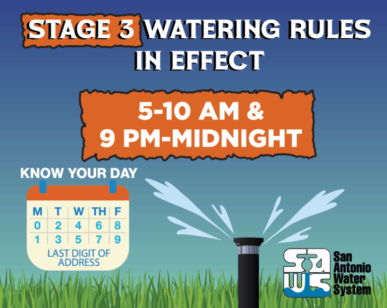 watering rules