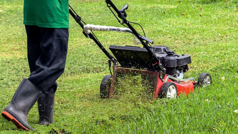 lawn clippings